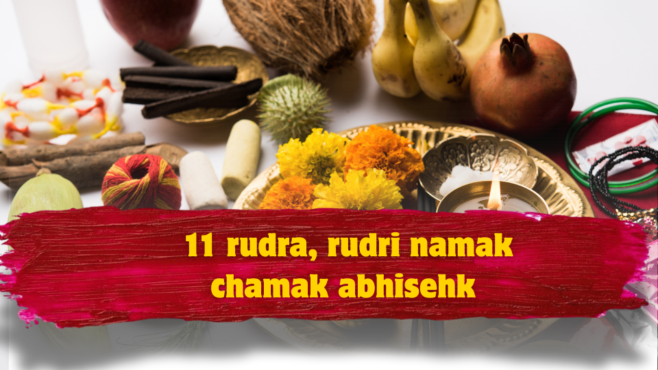 11 Rudra, Rudri Namak Chamak Abhisehk